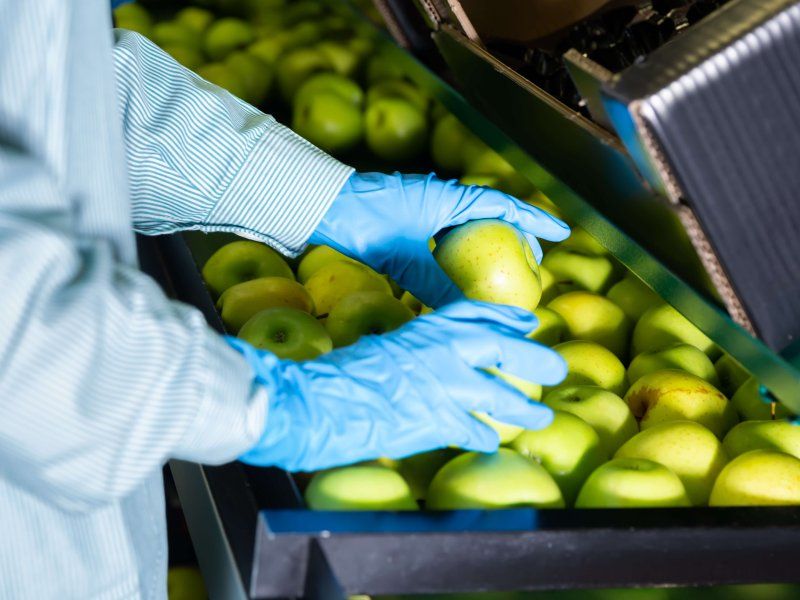 Ensuring food safety